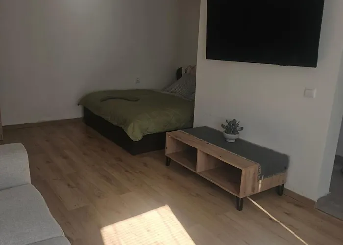 דירה - Topolianska מיכלובצ'ה