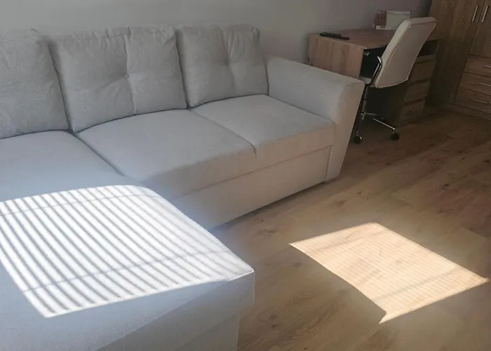 - Topolianska דירה