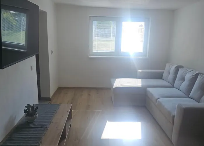 - Topolianska דירה